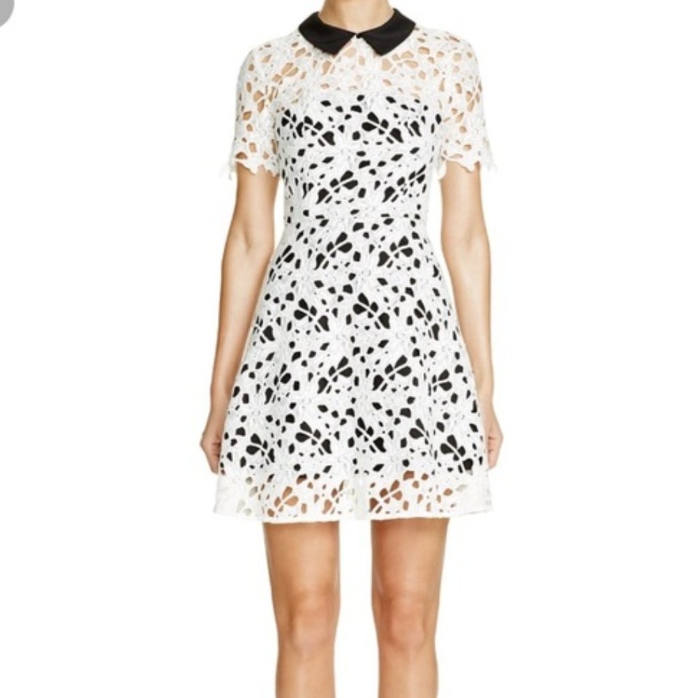NWT Aqua White Lace Collared Dress